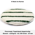 Einscheibenmaschinen Teppichreinigung