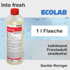 Into fresh Sanitärreiniger 1 l