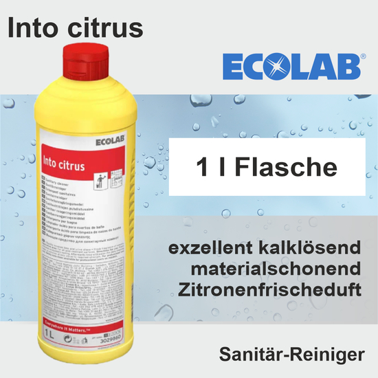 Ecolab Into Citrus Sanitärreiniger 12x1l