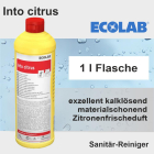 Into Citrus Sanitärreiniger 1 l