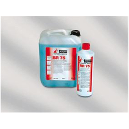 sanet Bad- und Sanitärreiniger BR 75, 1l I Tana
