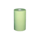 Profix Rollenhandtuch 2lg grün Tissue 23 cm 10 Rollen à 70m Temca