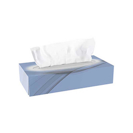 40 Boxen ECO AS 67 Kosmetiktuch 21x21cm 2lg 100 Stück I Igefa