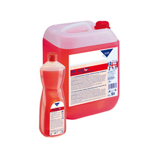 Kleen Purgatis DX 100 Konzentrat 6x1l...