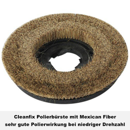 Polierbürste (Mexican Fiber) I Cleanfix